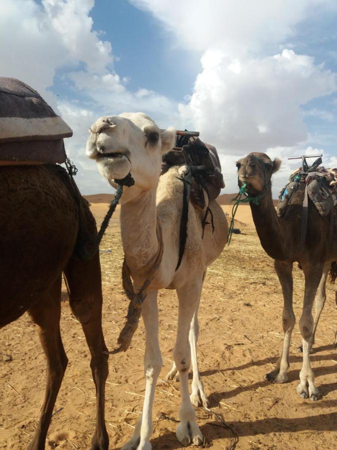 Hotel Nomad House à Merzouga Extérieur photo