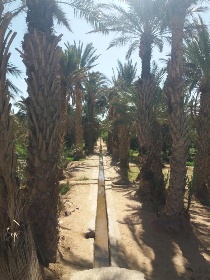 Hotel Nomad House à Merzouga Extérieur photo